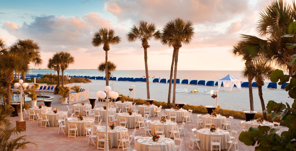 A Group Of Palm Trees