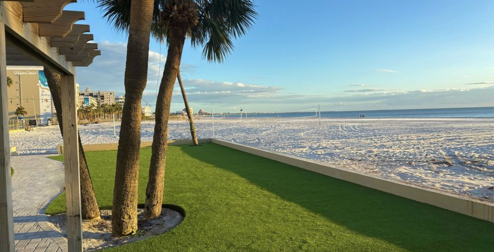 A Grassy Area Next To A Beach