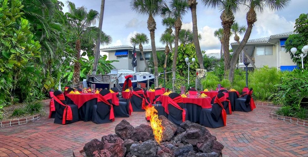 A Group Of People Sitting In Front Of A Palm Tree